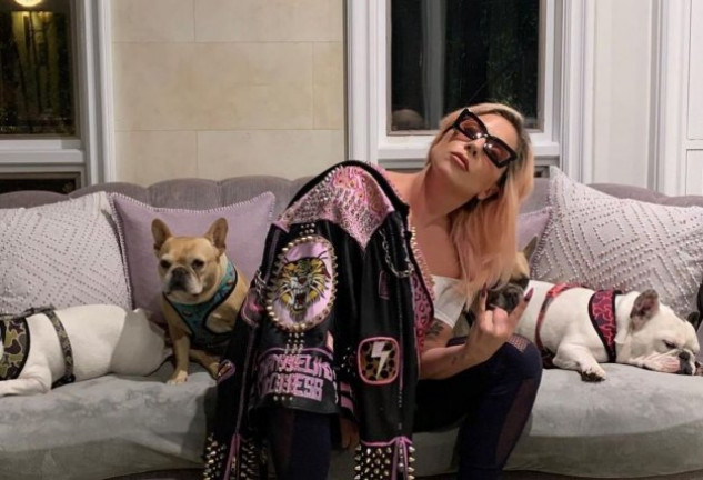 Lady Gaga tiene varios bulldogs franceses.