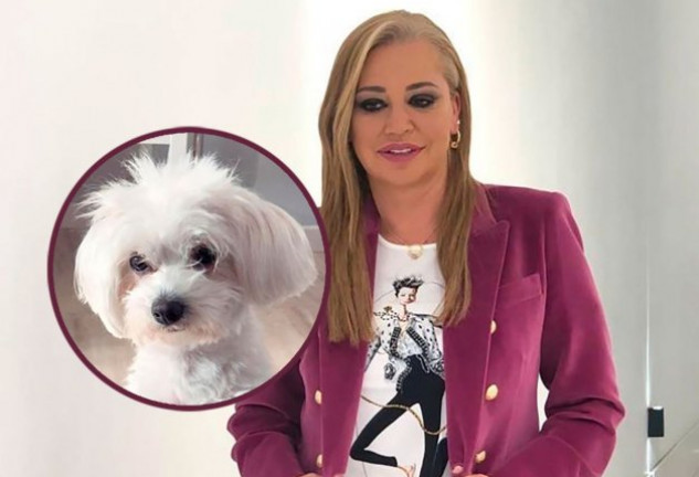 Belén Esteban muestra cómo su perrita la espera en casa.