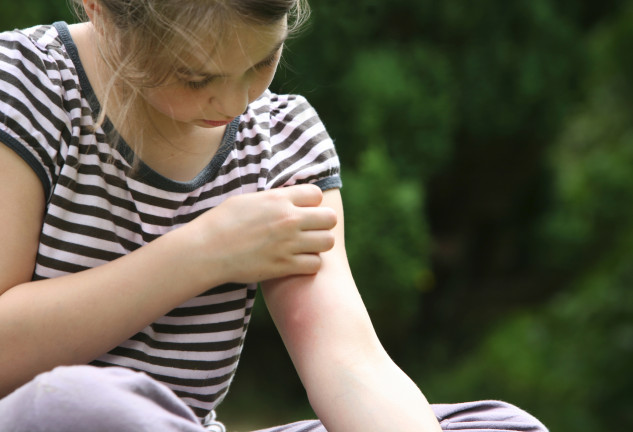 En verano, aumentan las actividades al aire libre y, con ello, la llegada de los mosquitos y demás insectos.