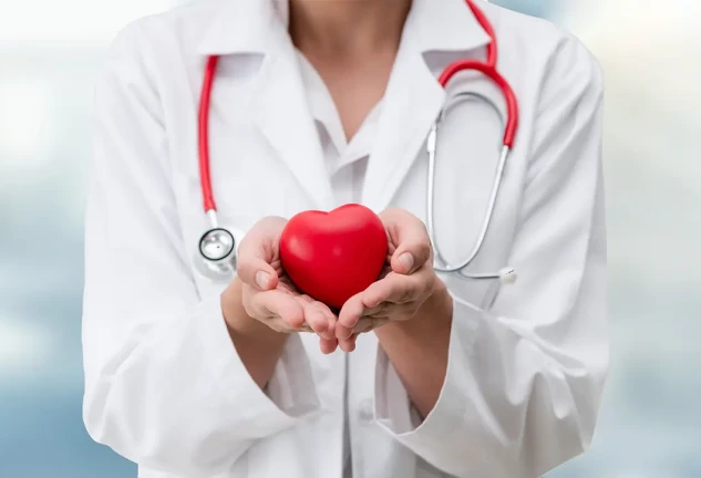 Doctora sosteniendo entre sus manos un corazón de juguete