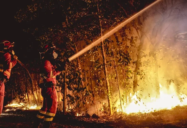 Incendio en Tenerife