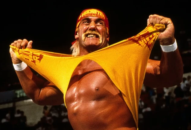 que fue de hulk hogan