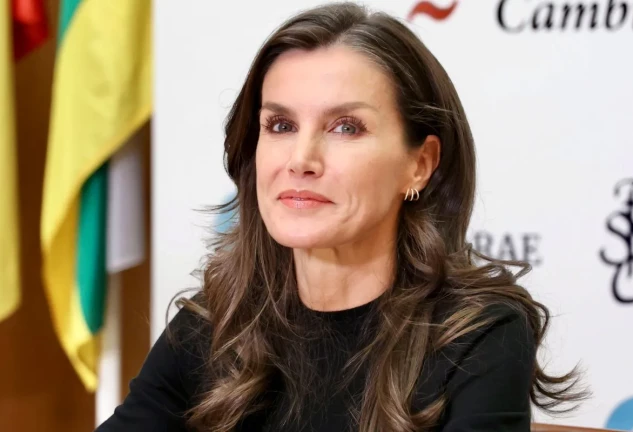 reina letizia gomaespuma