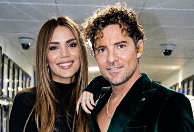 rosanna zanetti david bisbal