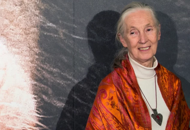 Jane Goodall, en una de sus últimas apariciones públicas (EFE)