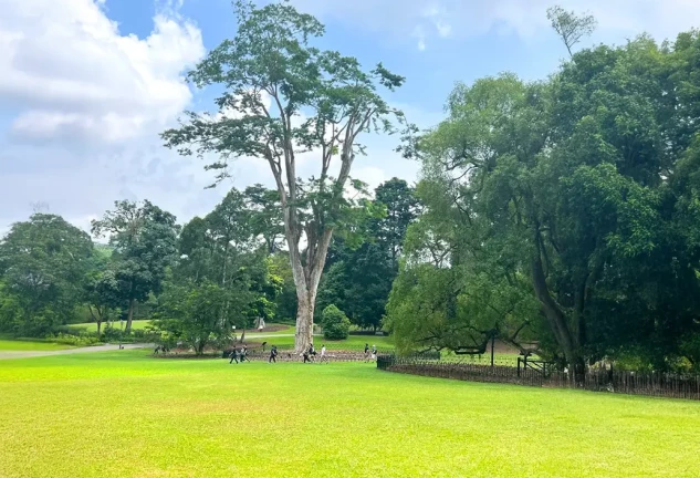 jardin botanico abrir