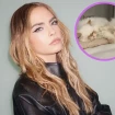 Cara Delevingne los gatos