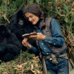 Dian se estableció en la selva, donde vivía sola con los gorilas. Eso la fue alejando de los humanos