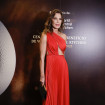 Mar Flores, en una cena solidaria en Madrid