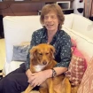 Mick Jagger