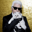Así es la vida de lujo de la gata de Karl Lagerfeld, a la que dejó su herencia de 200 millones