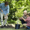 Familia plantando un árbol