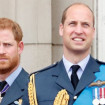 Harry y Guillermo, en una foto de hace años.