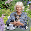 Camilla Parker con su perro.