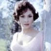 Gina Lollobrigida