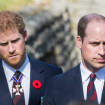 El Príncipe Harry y Guillermo de Cambridge durante la ceremonia del centenario de la batalla de Vimy Ridge, el 9 de abril de 2017 en Lille, Francia.