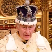 El rey británico protagonizó la tradicional y fastuosa apertura del Parlamento.