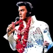 Elvis.