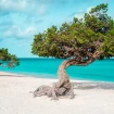Portada EAGLE BEACH (Isla de Aruba)
