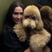 Vicky Martín Berrocal las mejores fotos con su caniche gigante