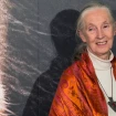 Jane Goodall, en una de sus últimas apariciones públicas (EFE)