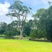 Jardines botánicos