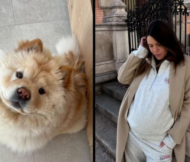 Pipa, la Chow Chow de la familia, y Laura Matamoros, en su último posado de embarazada (@_lmflores).