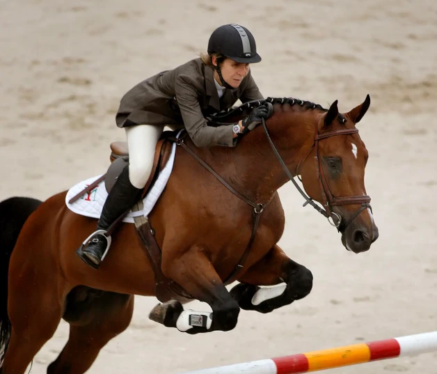 La Infanta Elena, en una competición hípica.