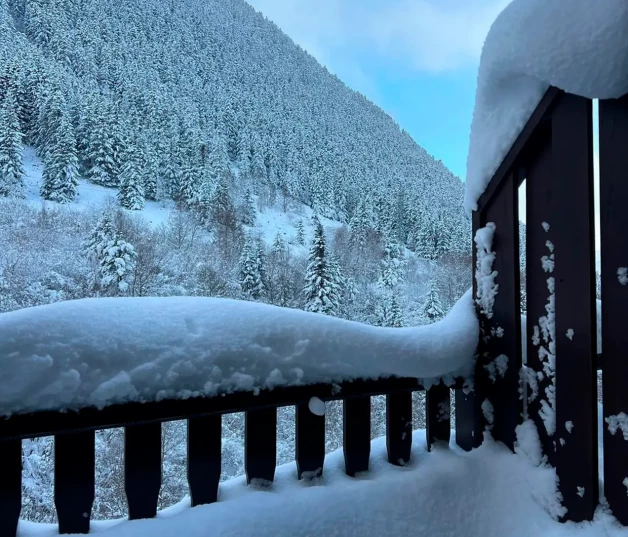 Imagen de la casa cubierta de nieve junto a la montaña.