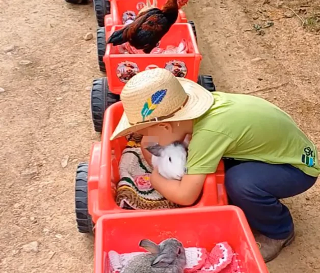 El 'Bebé campesino' con sus animales en la granja.
