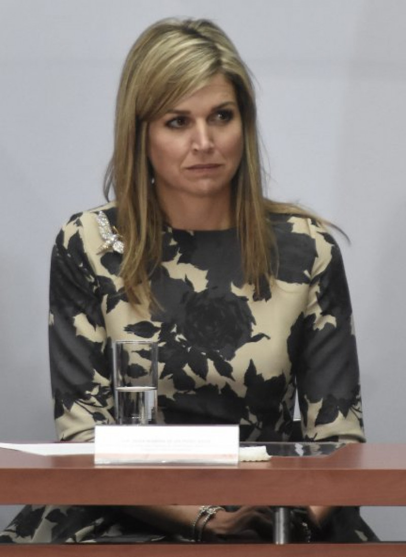 Máxima ha tenido que suspender su apretada agenda oficial.