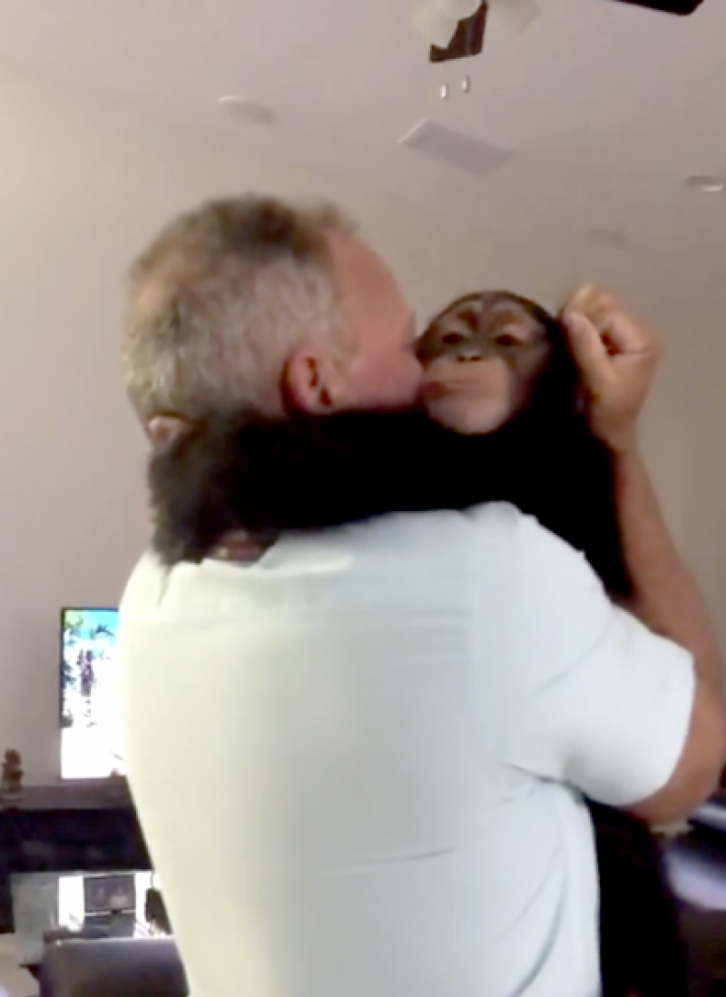 El chimpancé Limbani se abraza a su padre adoptivo