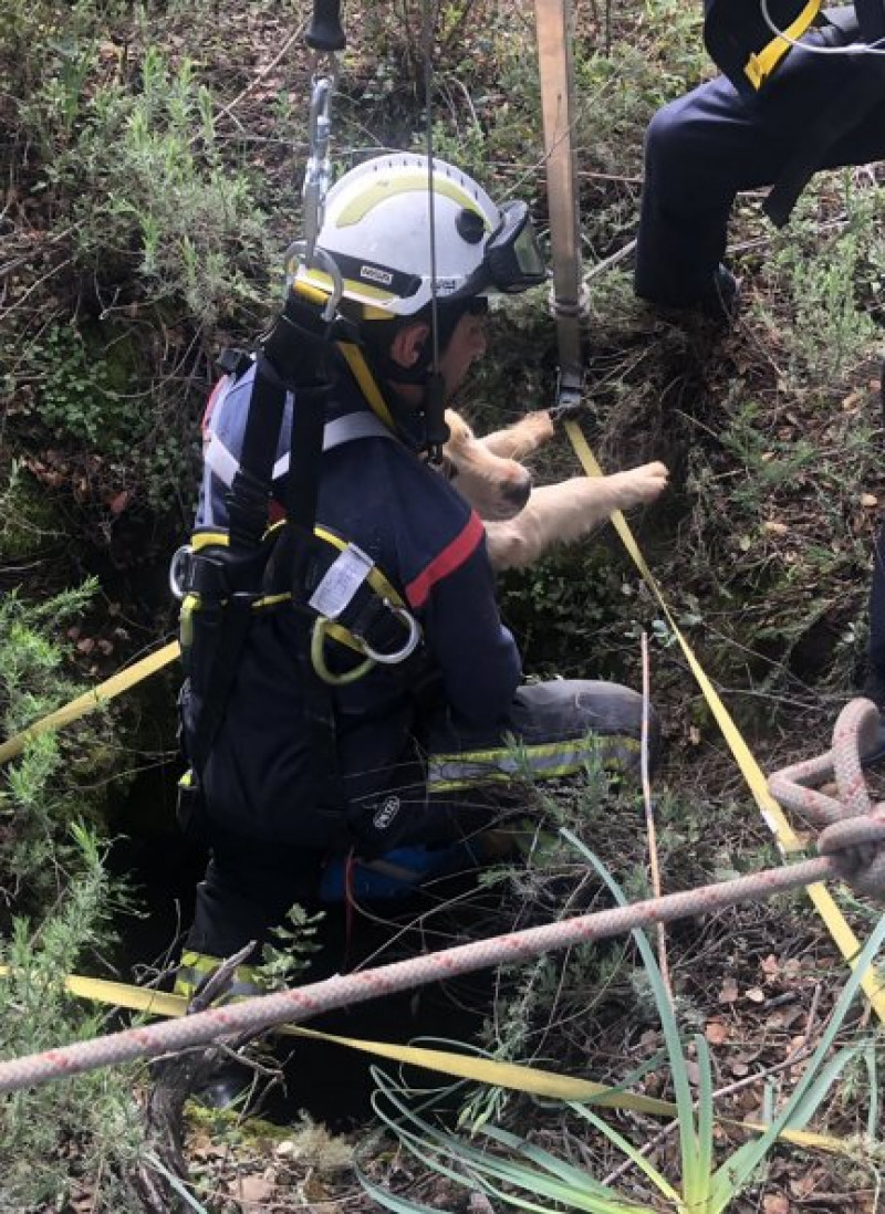 Momento del complicado rescate del animal