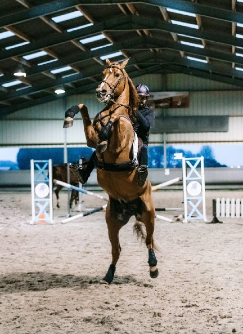 Hassen Bouchakour y Peyo durante una sesión de entreno del caballo.