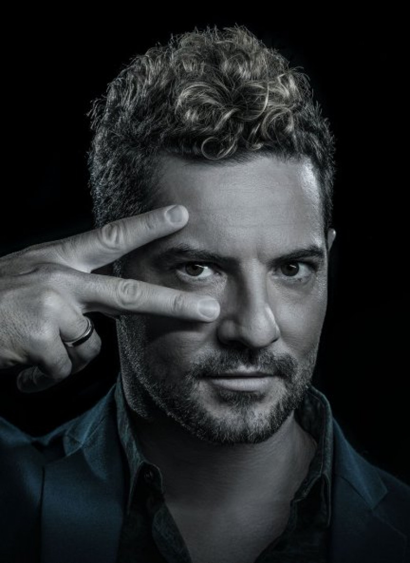 La simpatía David Bisbal le ha hecho ganarse a los telespectadores.