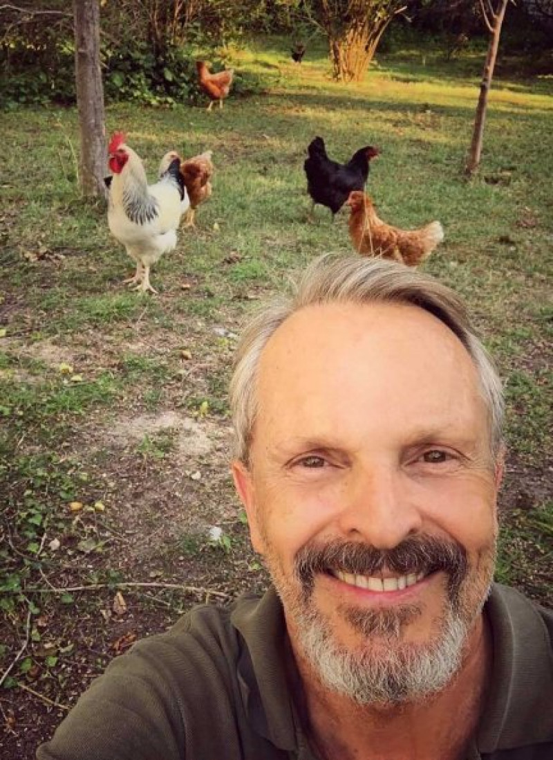 Miguel Bosé, en un selfie en plena naturaleza y rodeado de gallinas.