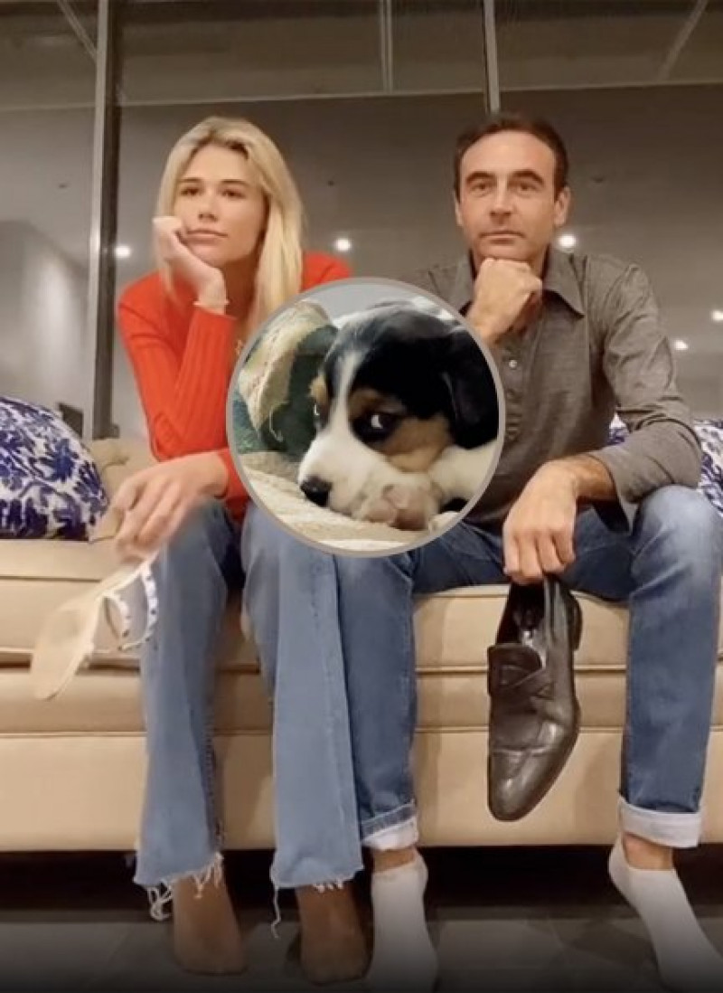 Enrique Ponce y Ana Soria se han sincerado sobre la enfermedad de Ney, el cachorro que acaban de adoptar.