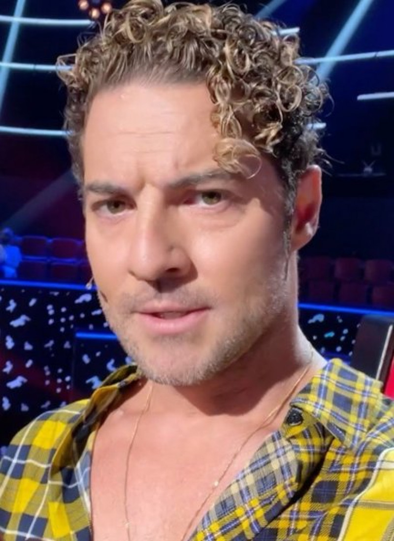 David Bisbal cuenta cuál es su mayor apoyo durante este confinamiento.