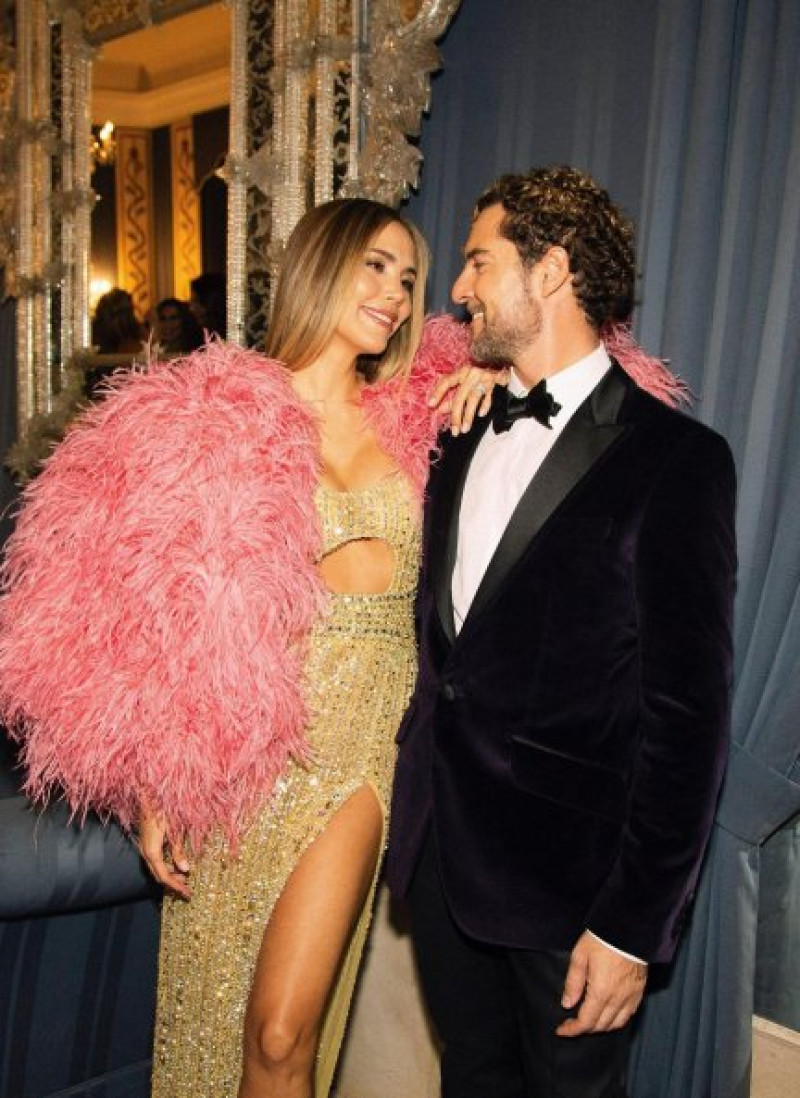 Rosanna Zanetti y David Bisbal llevan seis años juntos y felices (@rosannazanetti).