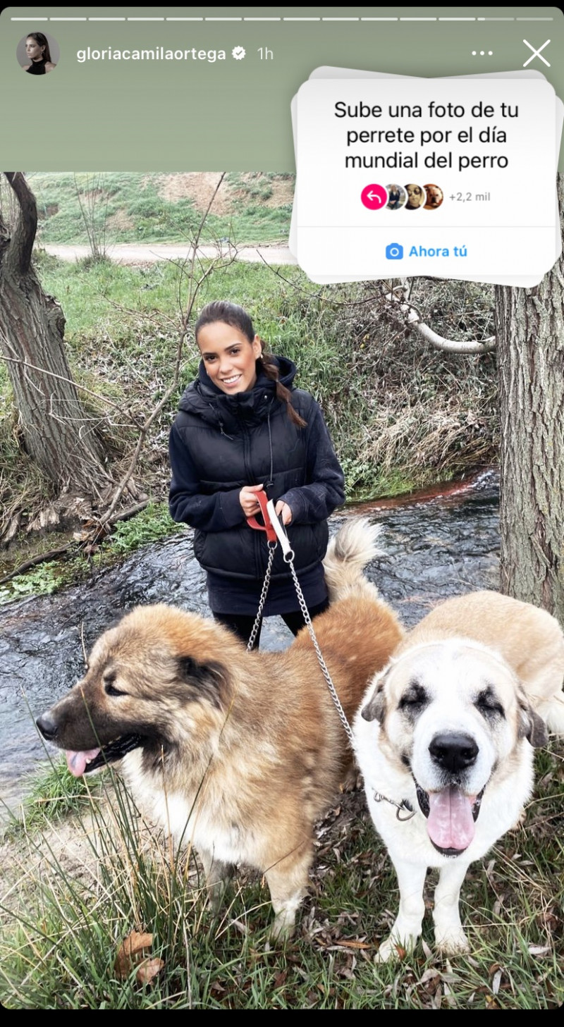 Gloria Camila junto a sus perros en Instagram