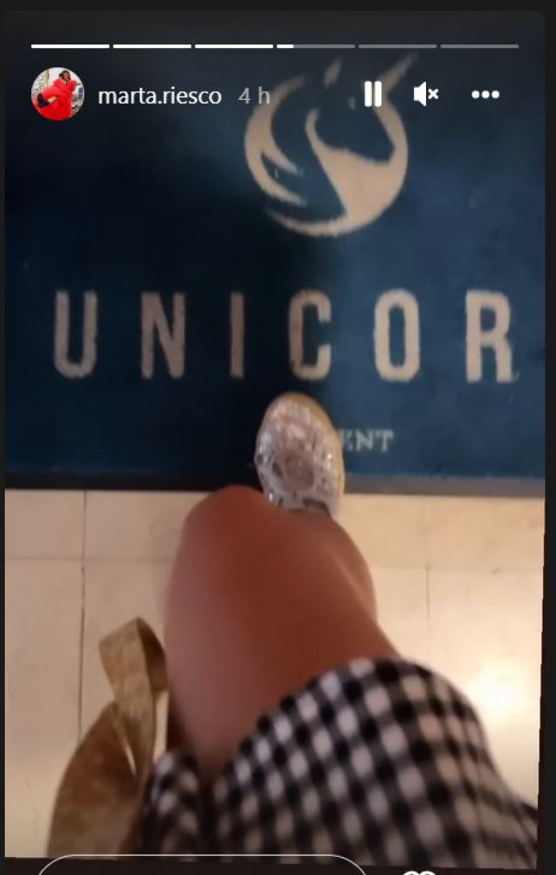 marta riesco unicorn