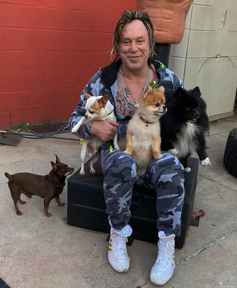 Mickey Rourke con sus perros