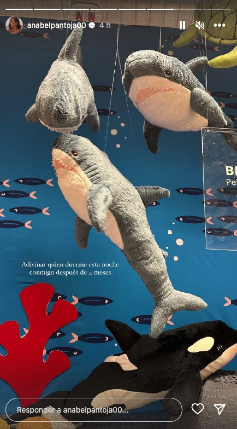 Anabel Pantoja compra un nuevo tiburón para su nueva casa