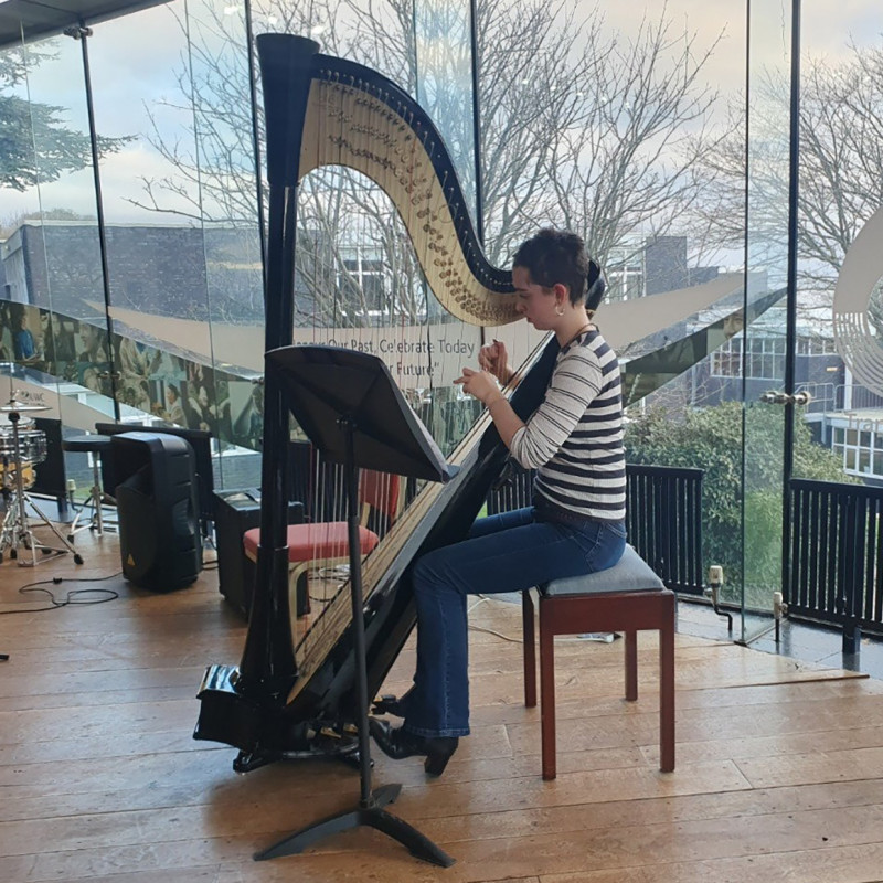 harpa internado sofia