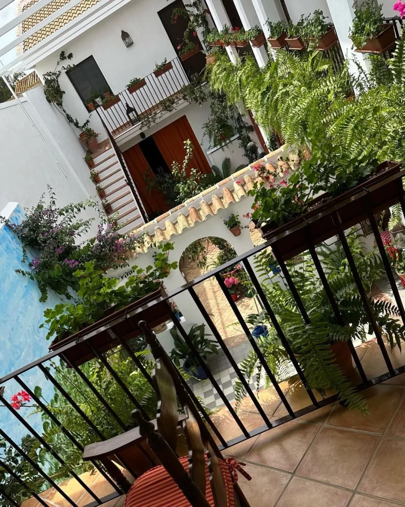 El patio de la casa de Vicky Martín Berrocal en El Rocío.