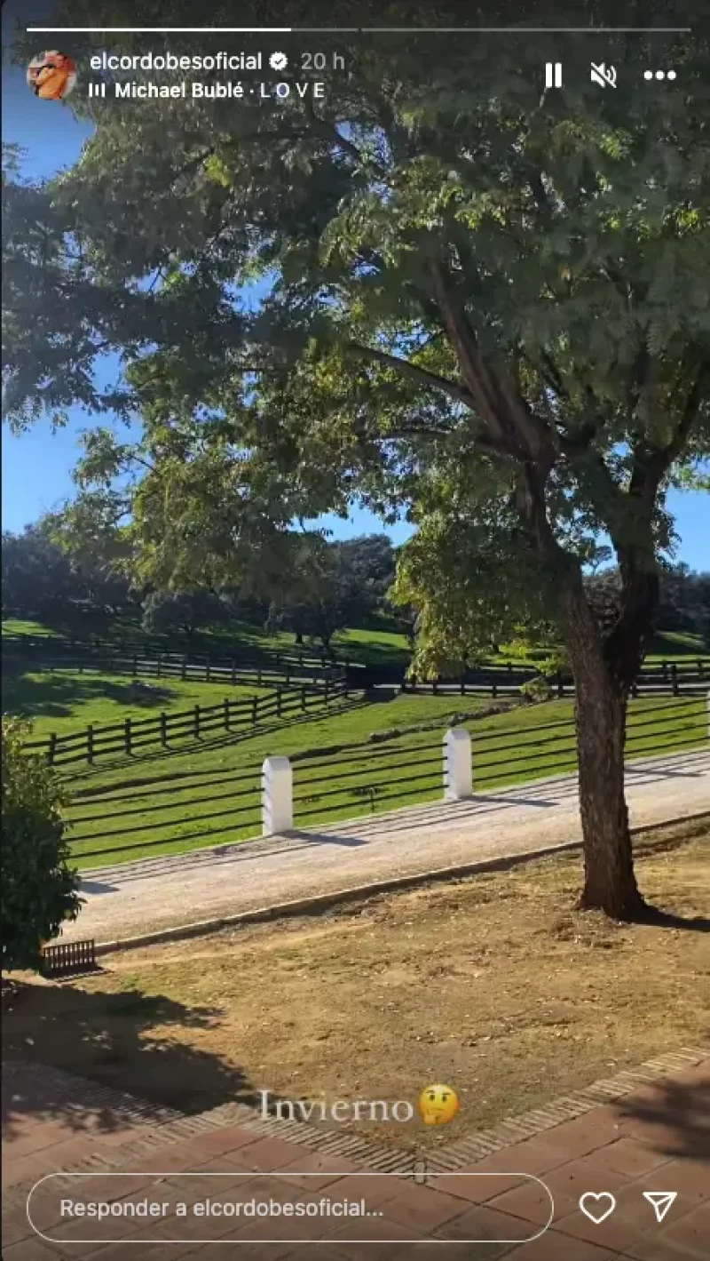 Captura de story del vídeo del jardín de Manuel Díaz