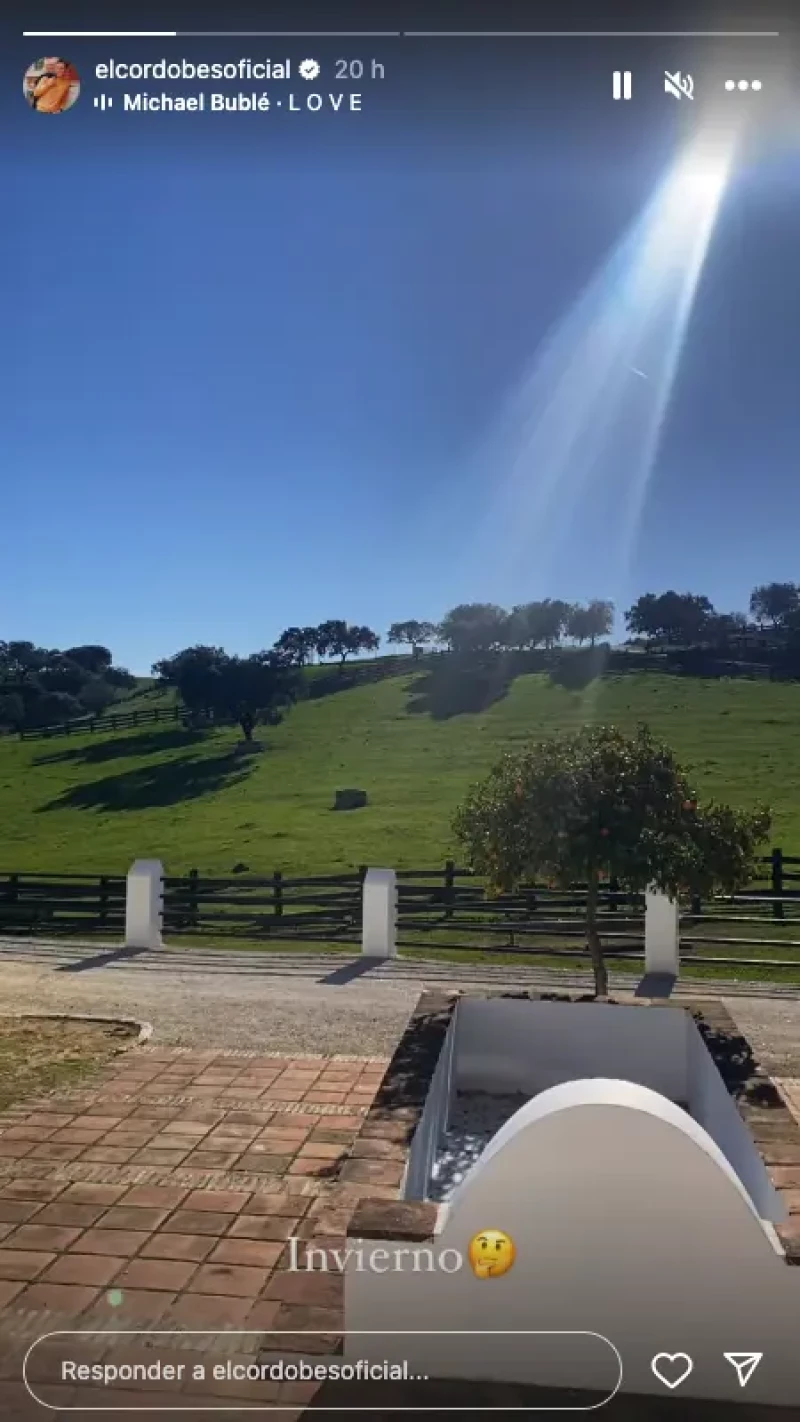 Captura de story del vídeo del jardín de Manuel Díaz