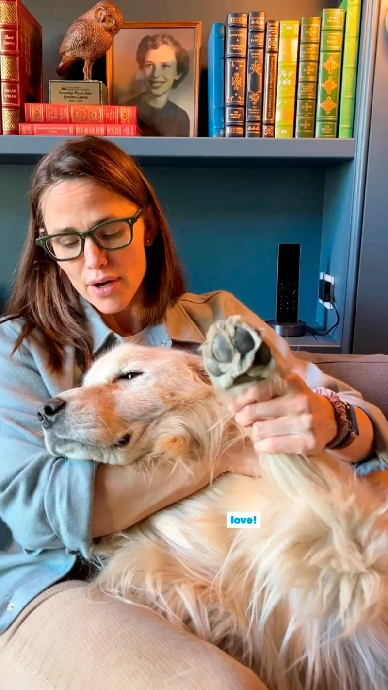 Jennifer Garner, de 51 años, con su golden retriever, Birdie, que tiene 8, en su regazo.