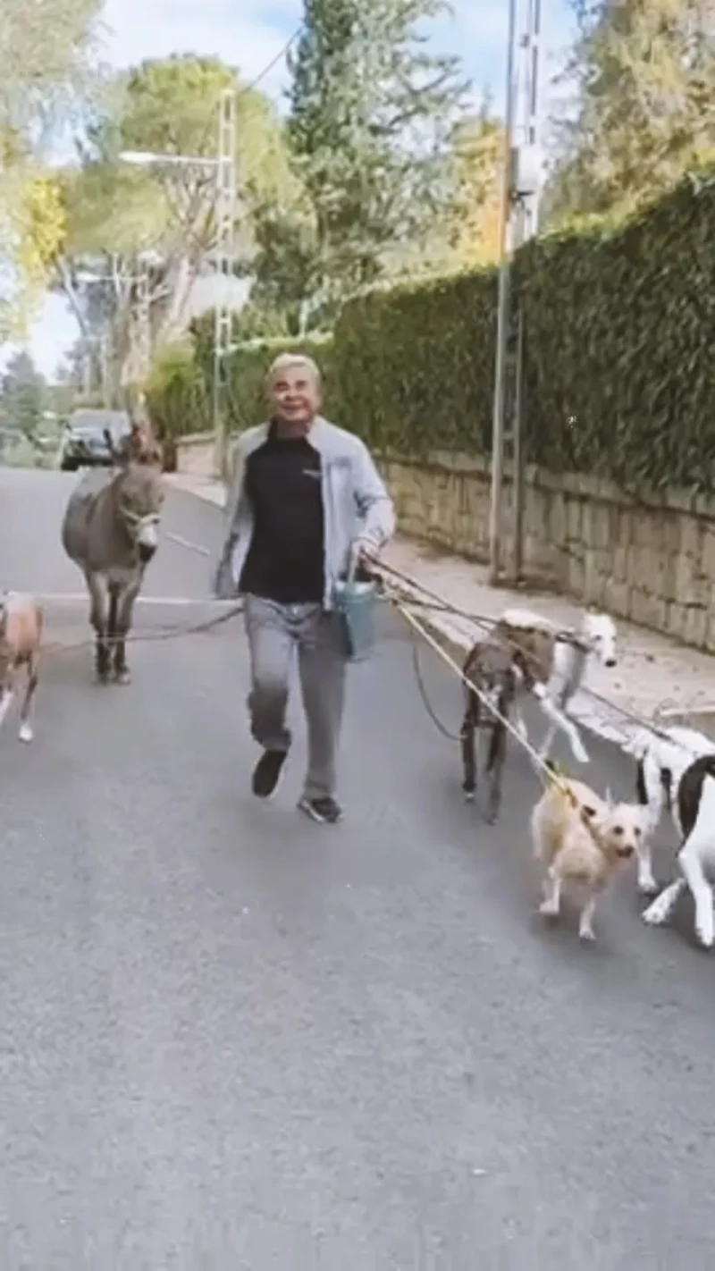 Jorge Javier paseando a sus perros y a su burro.