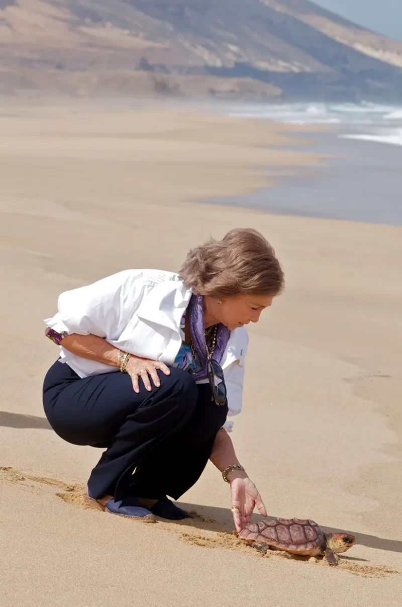 Sofía soltando a una tortuga en 2009.